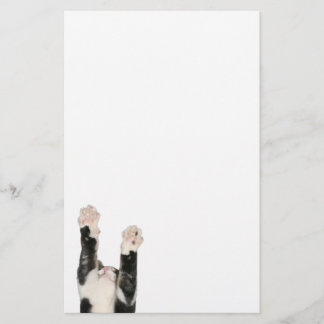 Playful kitty cat stationery