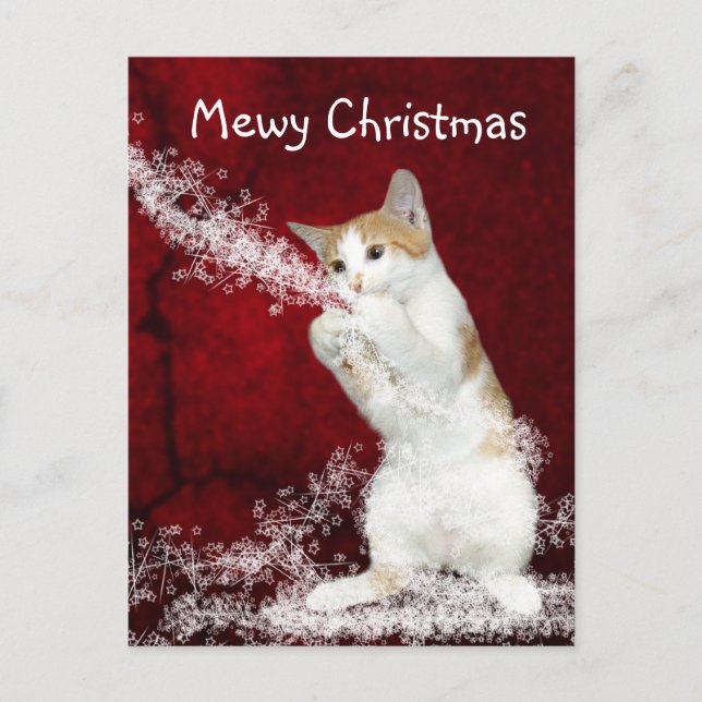 Playful kitty Christmas Holiday Postcard (Front)