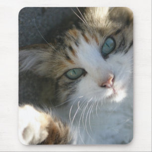 Playful Kitty Mouse Mat
