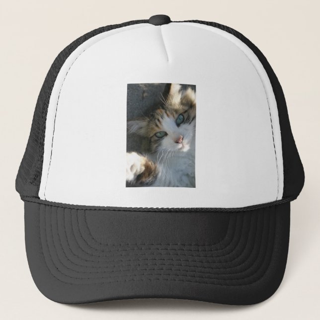 Playful Kitty Trucker Hat (Front)