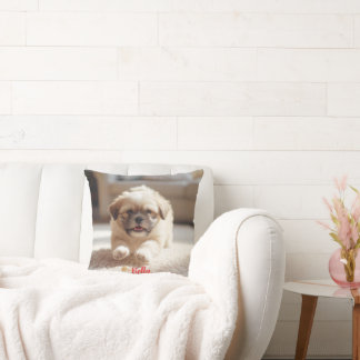 Playful Lhasa Apso Personalised Cushion