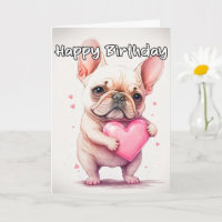 Playful Loveable Little French Bulldog Puppy