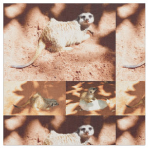 Playful Meerkats Playing, Fabric