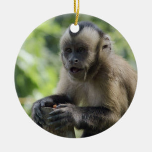 Playful Monkey Ornament