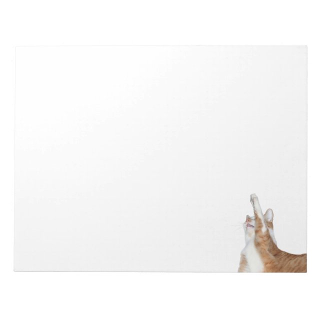 Playful orange and white tabby notepad (Front)
