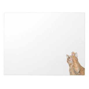 Playful orange tabby cat notepad