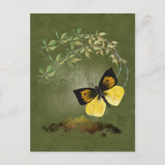 Playful Painted Butterfly- Postcard