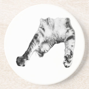 Playful Pause Coaster