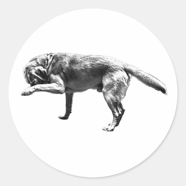 Playful Paw Print Classic Round Sticker (Front)