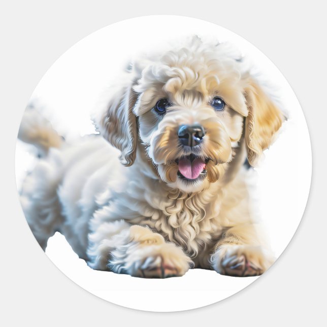 Playful Poodle Puppy Classic Round Sticker (Front)