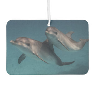 Playful Pose Car Air Freshener