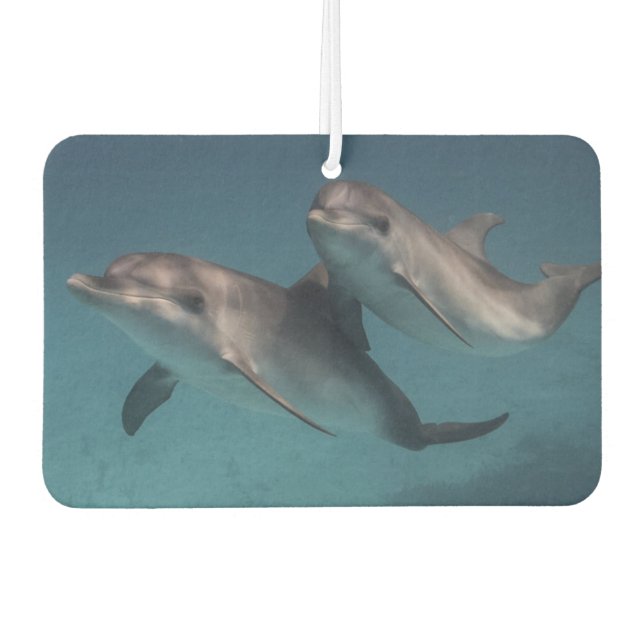 Playful Pose Car Air Freshener (Front)