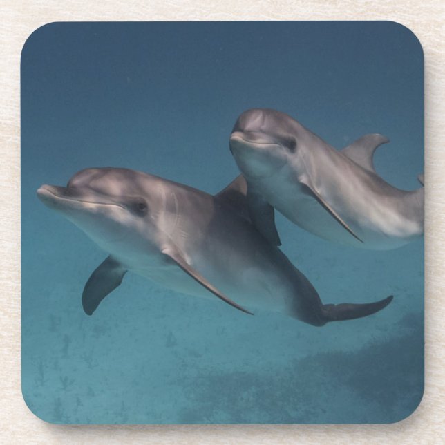 Playful Pose Coaster (Front)