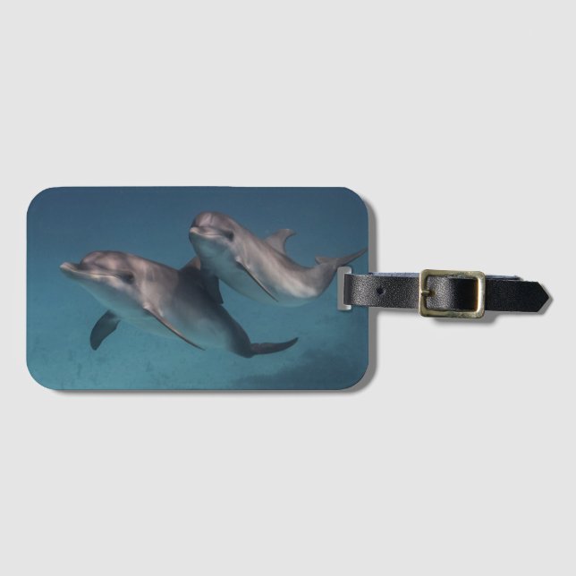 Playful Pose Luggage Tag (Front Horizontal)