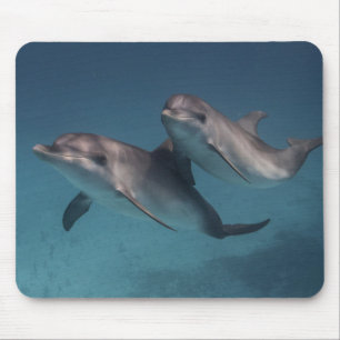 Playful Pose Mouse Mat