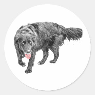 Playful Pup Pop Classic Round Sticker