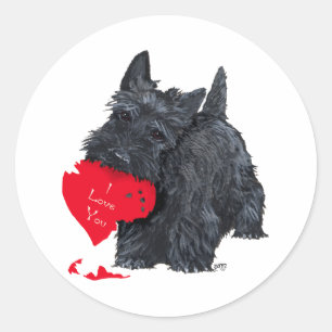 Playful Scottish Terrier Valentine Stickers