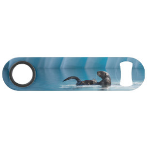 Playful Sea Otter