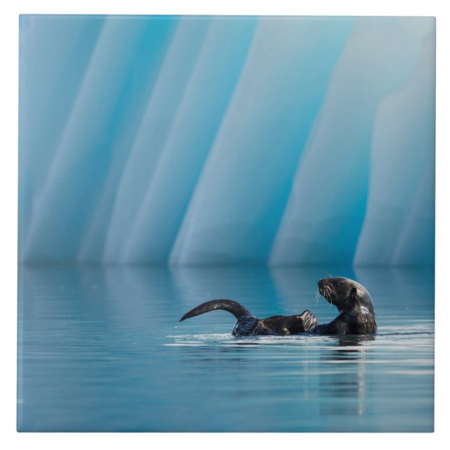 Playful Sea Otter Tile (Front)