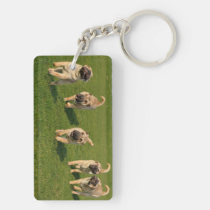 Playful Shar Pei Puppies Key Ring