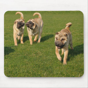 Playful Shar Pei Puppies Mouse Mat