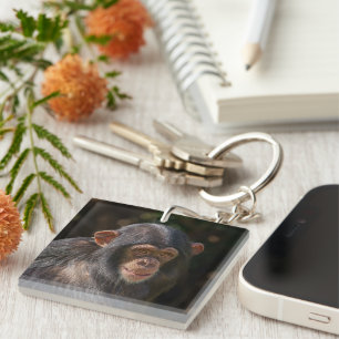 Playful Soul – Baby Chimpanzee Close-Up Key Ring