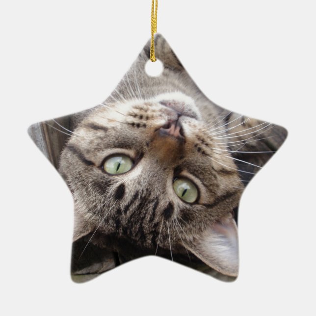 Playful Striped Feral Tabby Cat Ceramic Tree Decoration (Front)