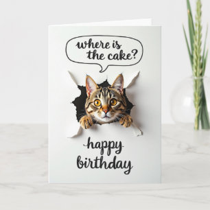 Playful Tabby Birthday Card