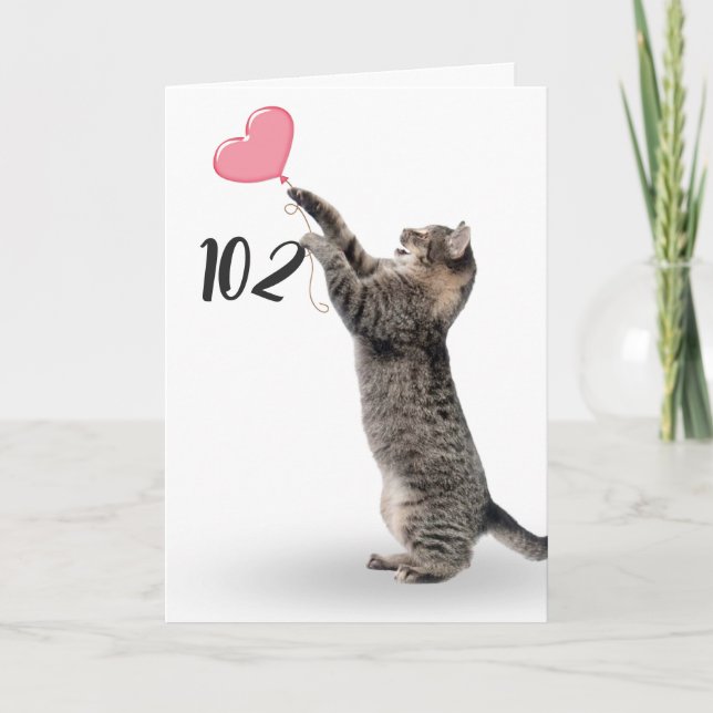 playful tabby cat for 102nd birthday card (Front)