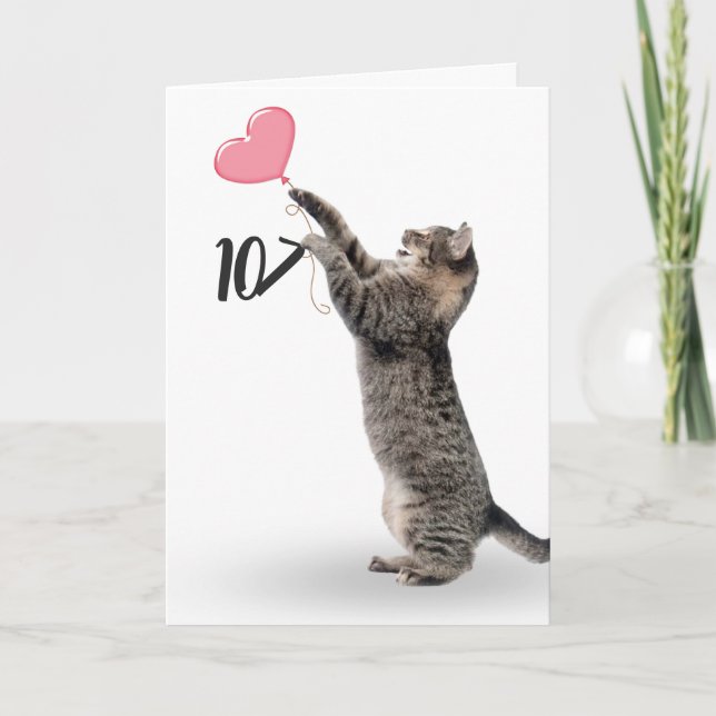 playful tabby cat for 107th birthday card (Front)