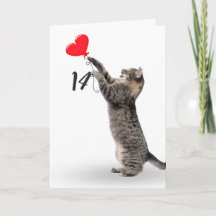playful tabby cat for 14th birthday card