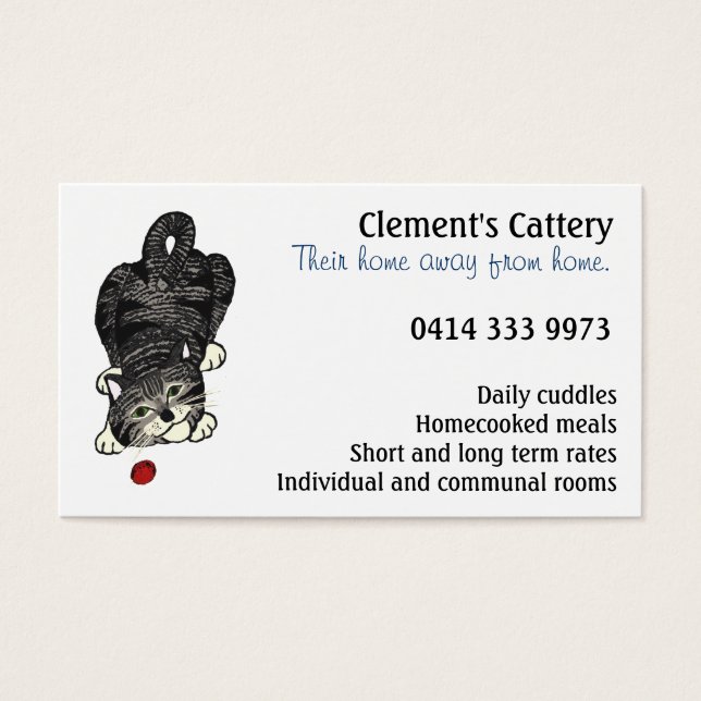 Playful Tabby Kitten (Front)