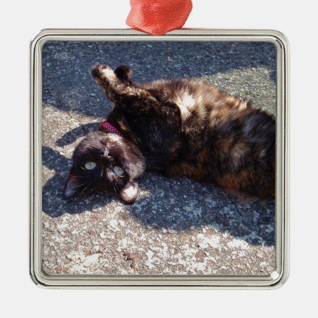 Playful Tortoiseshell Cat Metal Tree Decoration (Front)
