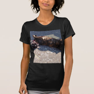 Playful Tortoiseshell Cat T-Shirt