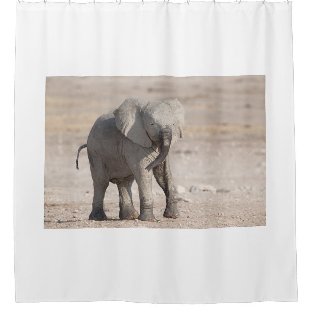 Playful young elephant shower curtain (Front)