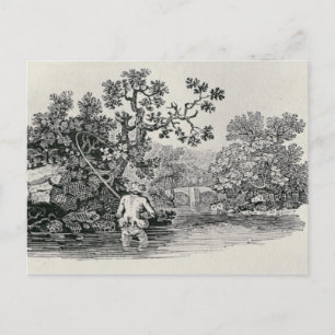 Playing a Salmon Postcard