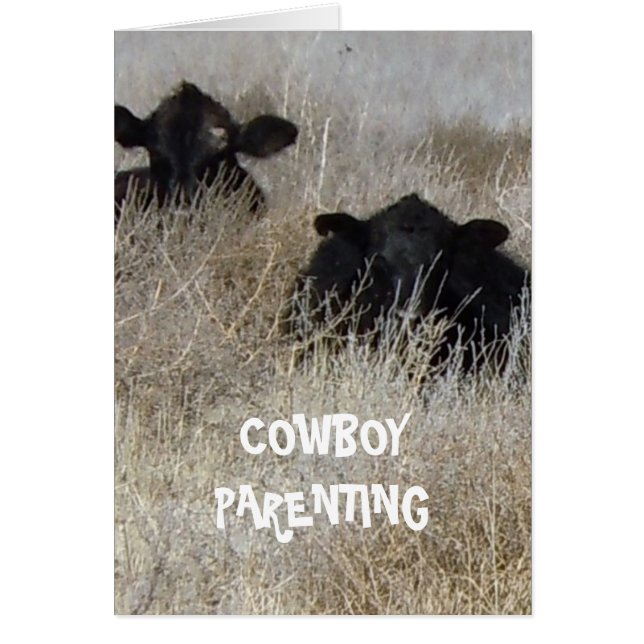 Playing Baby Games - Cowboy Parenting (Front)