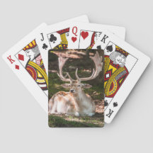 Playing card photo deer in the woods