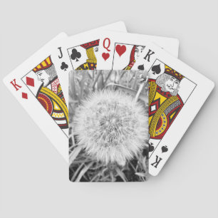 Playing Cards