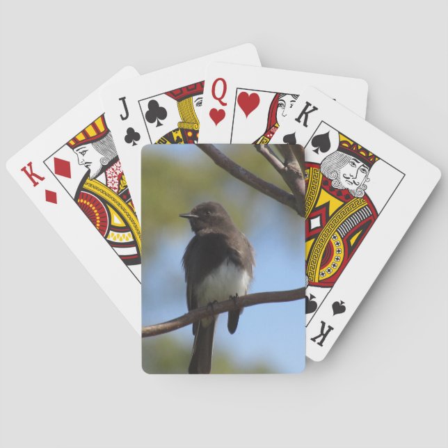 Playing cards - Black Phoebe on Branch (Back)