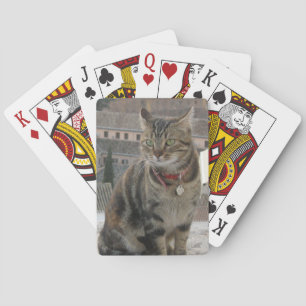 Playing Cards Cat