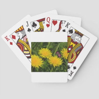 Playing cards dandelions