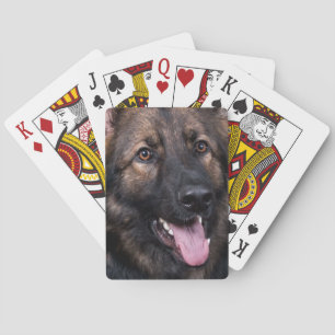 Playing cards German Shepherd Dog Alsatian