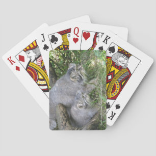 Playing cards - pallas cat