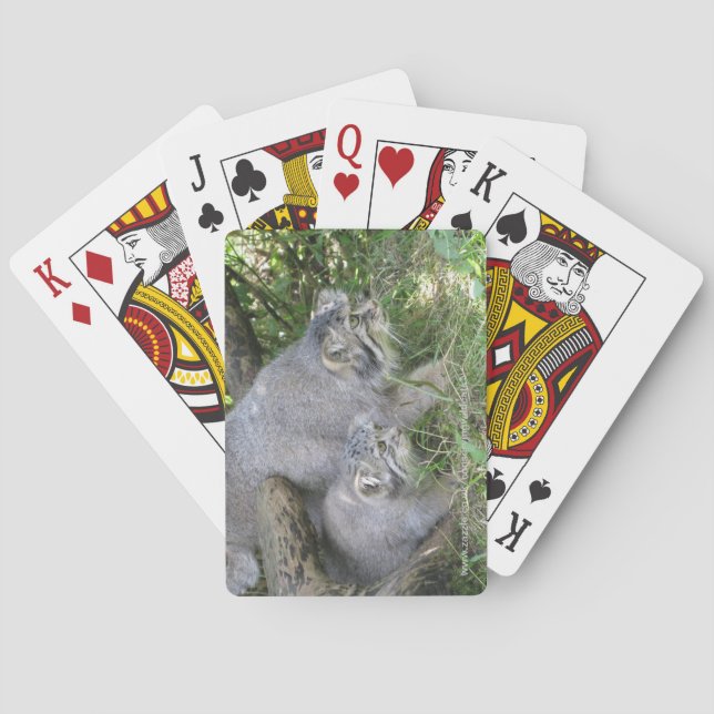 Playing cards - pallas cat (Back)