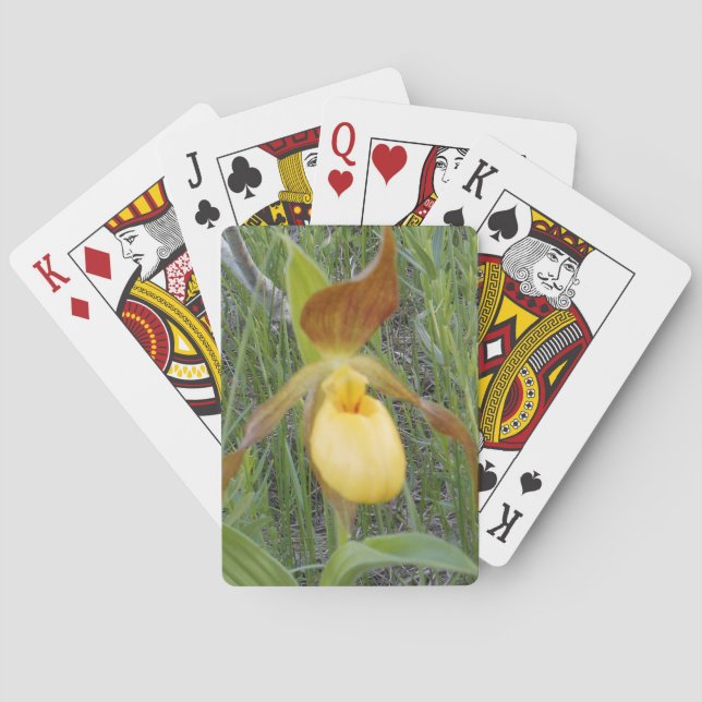 Playing Cards, Standard Cards (Back)