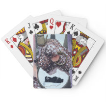 Playing Cards: The Magic Ring