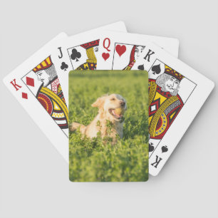 Playing Cards with front image of Golden Retriever