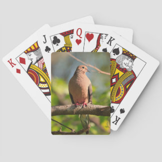 Playing cards with picture of mourning Dove