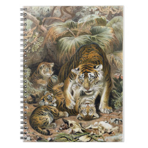 Playing Cub Note Book
